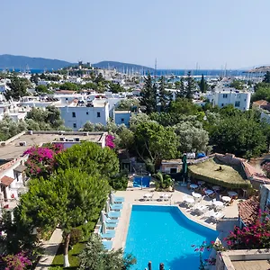 Moonshine & Bodrum