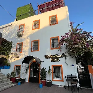  Hotel The Professor's