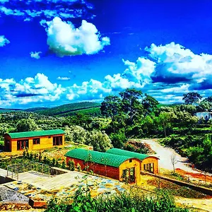 Tomato Villa